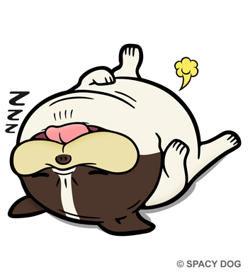 Sleeping french bulldog Pied