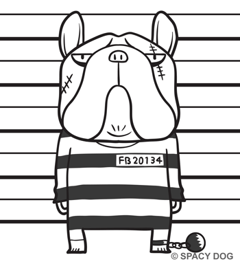 French Bulldog Prisoner