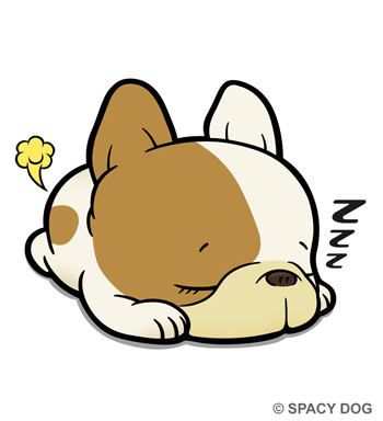 Sleeping french bulldog Honey