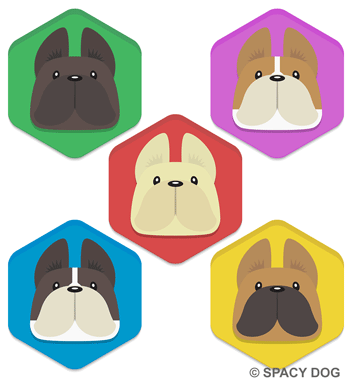 French Bulldog Face Hexagon Icons